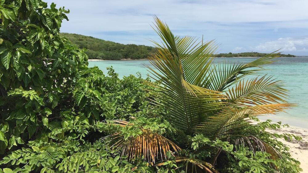 Vieques Beach Tour