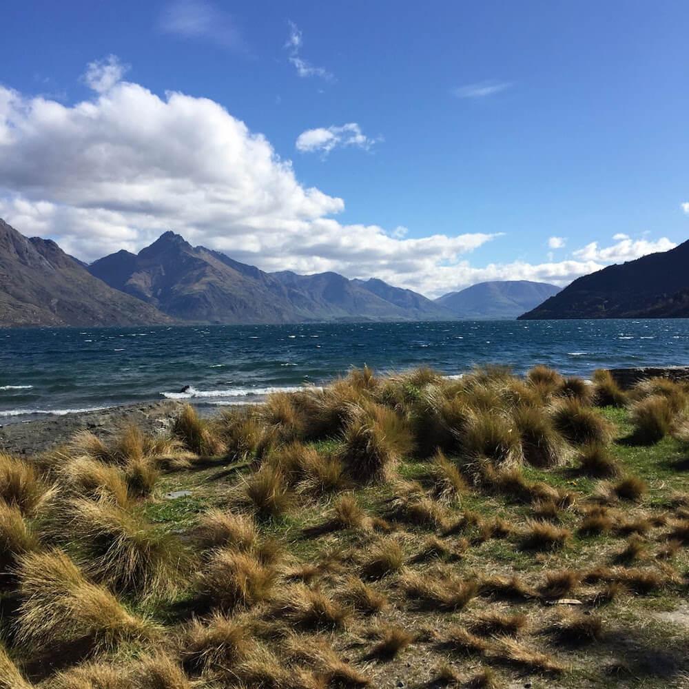 Queenstown walking path