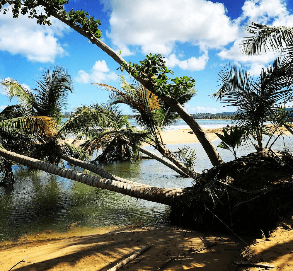 Puerto Rico Rio Mar