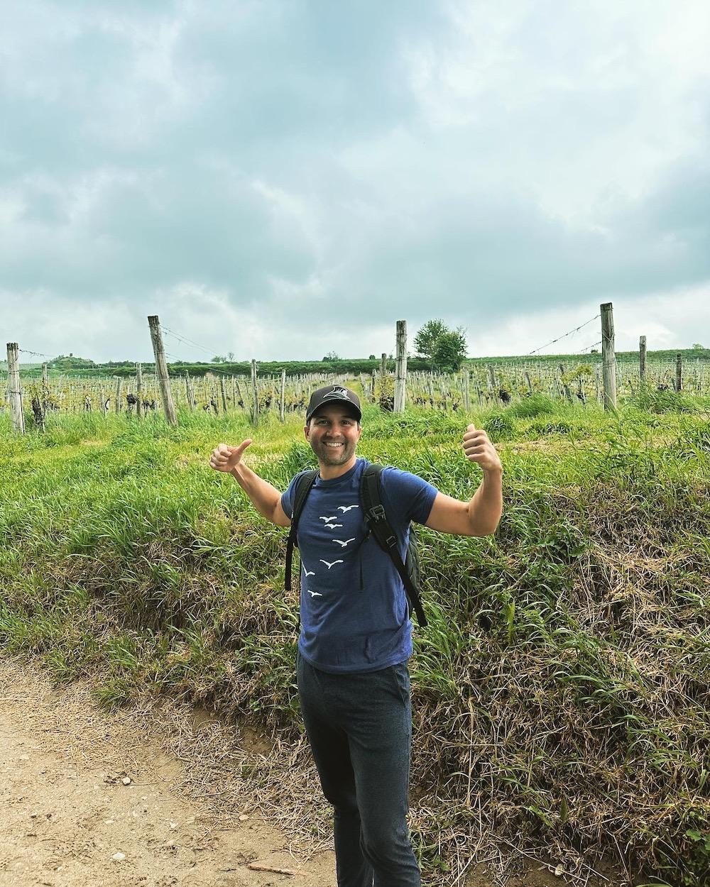 Vienna vineyard hike